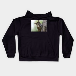 Staring Contest with a Squirrel Kids Hoodie